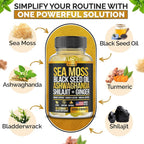 Nutravia Sea Moss, Black Seed Oil & Ashwagandha Gummies - 60 Gummies - image 4
