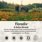 Floradix Iron & Herbs Liquid Iron Supplement - 16.9 fl oz - image 8