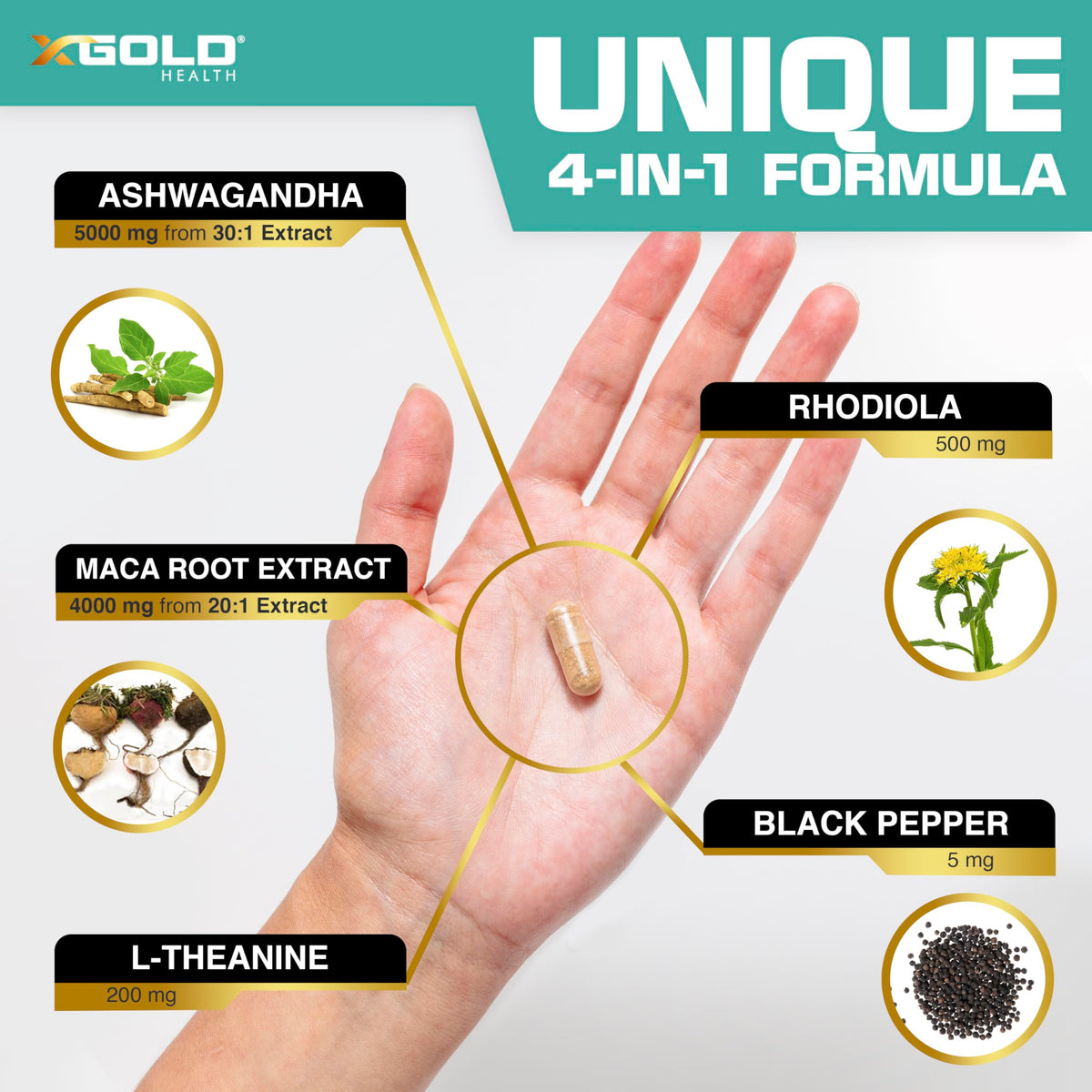 X Gold Ashwagandha, Maca Root, Rhodiola & L-Theanine - 120 Capsules - image 5
