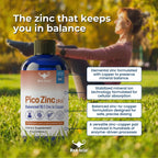 RnA ReSet Pico Zinc Plus Liquid Zinc & Copper Supplement - 8.1 fl oz - image 4