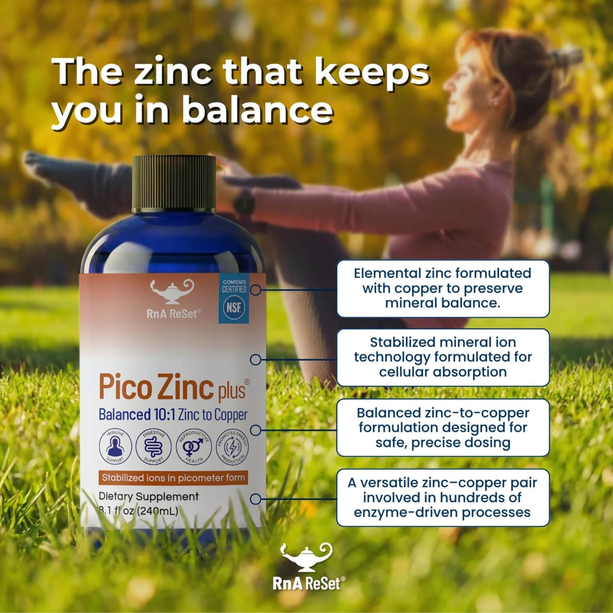 RnA ReSet Pico Zinc Plus Liquid Zinc & Copper Supplement - 8.1 fl oz - image 4
