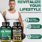 Bualle Shilajit Capsules with Ashwagandha & Ginseng - 120 Capsules - image 4