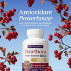 Purely Holistic Hawthorn Berry Extract 4:1 Supplement - 150 Capsules - image 8
