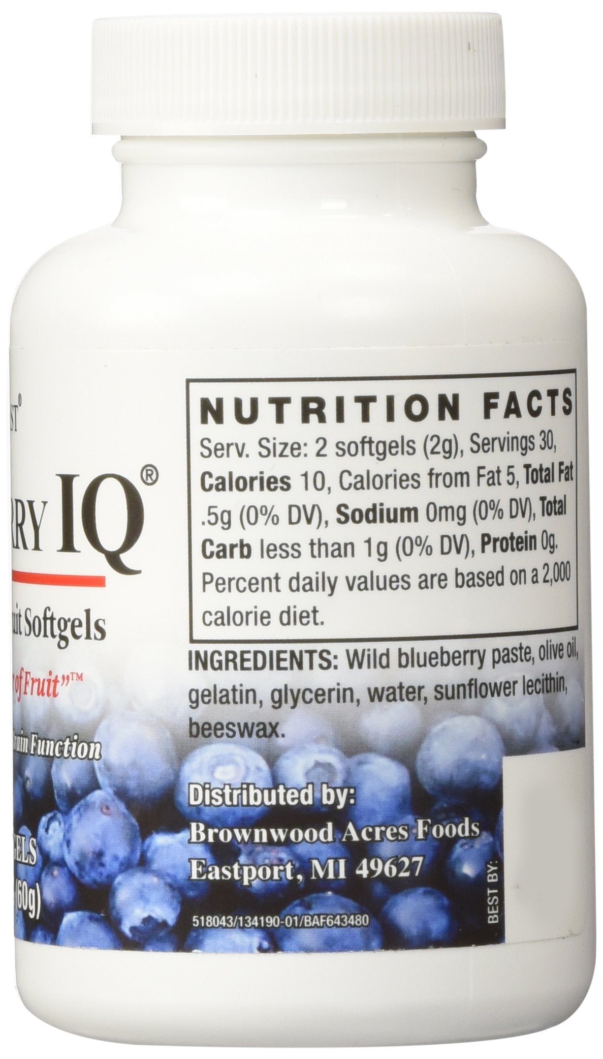FruitFast Wild Blueberry IQ Brain Support - 60 Softgels - image 3
