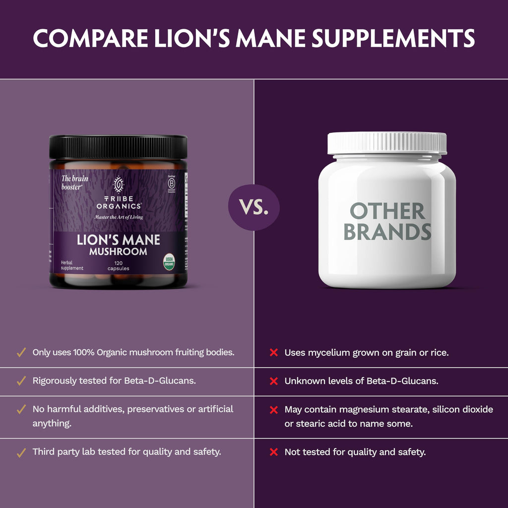 TRIBE ORGANICS Lion's Mane Supplement Capsules - 120 Count - image 5