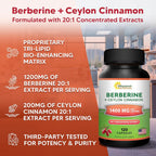aSquared Nutrition Berberine with Ceylon Cinnamon - 120 Capsules - image 4