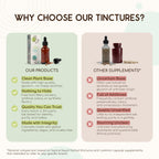 HerbEra Red Root Alcohol-Free Herbal Extract Tincture
