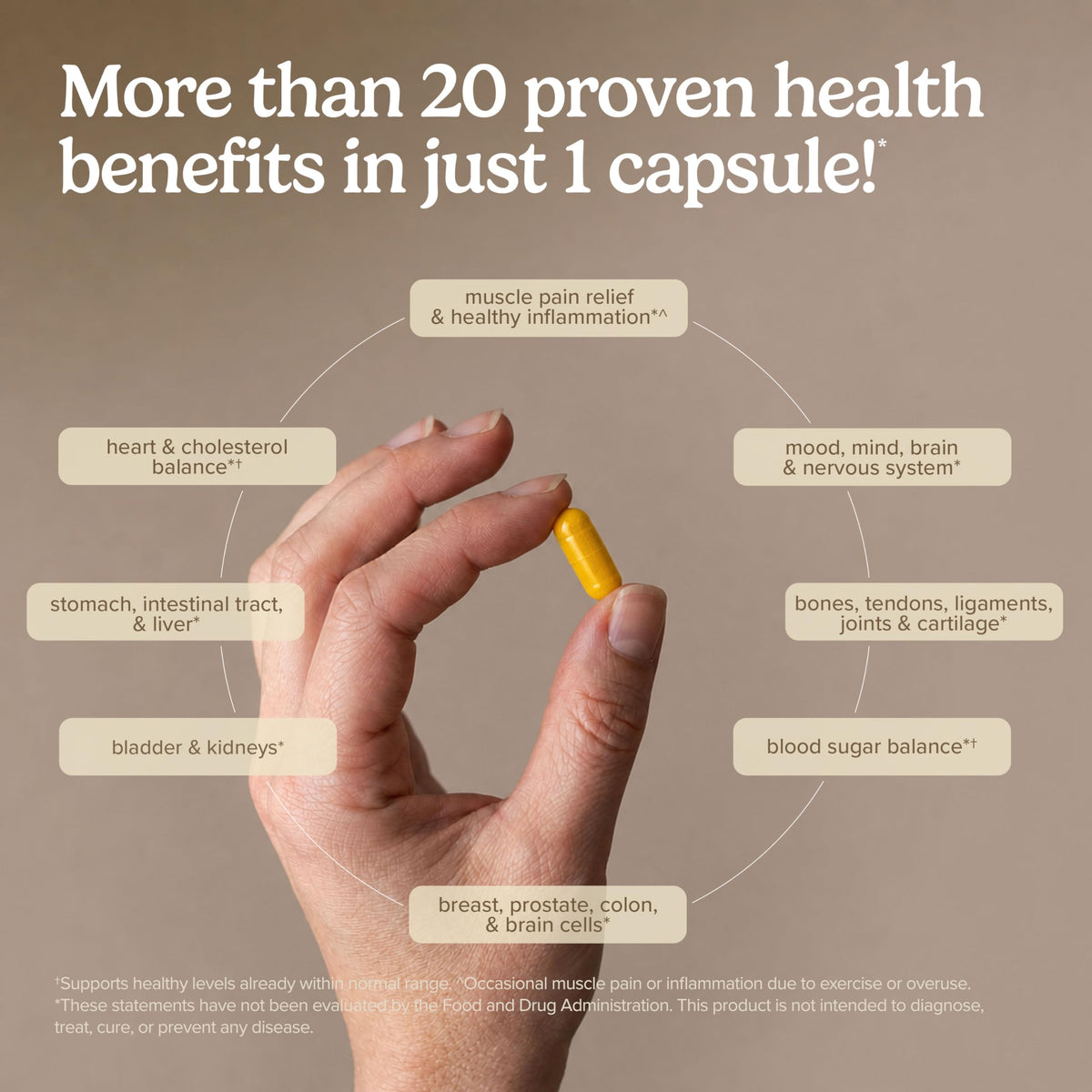 Terry Naturally CuraMed 500mg Curcumin Capsules - 60 Count - image 4