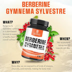 WELBUDA Berberine Supplement with Gymnema Sylvestre - 60 Capsules - image 5