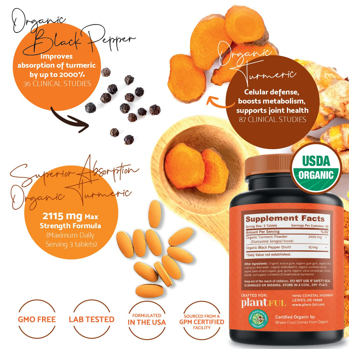 PLANTFUL RESEARCH Organic Turmeric Curcumin 2115mg - 120 Tablets - image 2