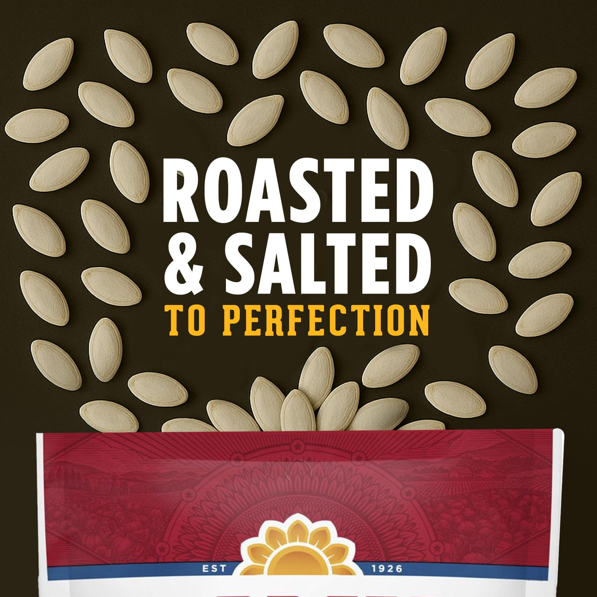 David All Natural Pumpkin Seeds, Salted & Roasted - Pack of 12 - image 4