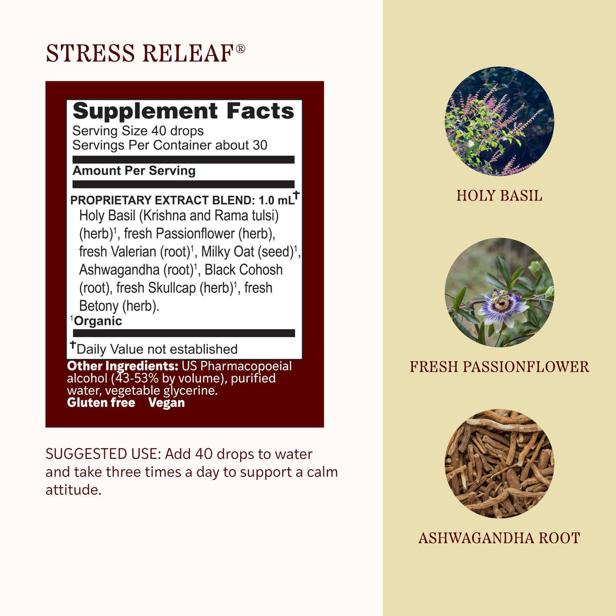Herbs Etc. Stress ReLeaf Classic Liquid Extract - 1 fl oz - image 4