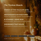 Tribal Remedy Pure Australian Beef Heart Supplement - 180 Capsules - image 2
