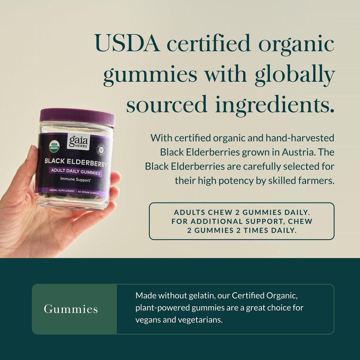 Gaia Herbs Black Elderberry Adult Daily Gummies Immune Support - 40 Gummies - image 4