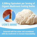 ENCAPSULATE Lion's Mane 8:1 Extract Capsules for Cognitive Support - image 7