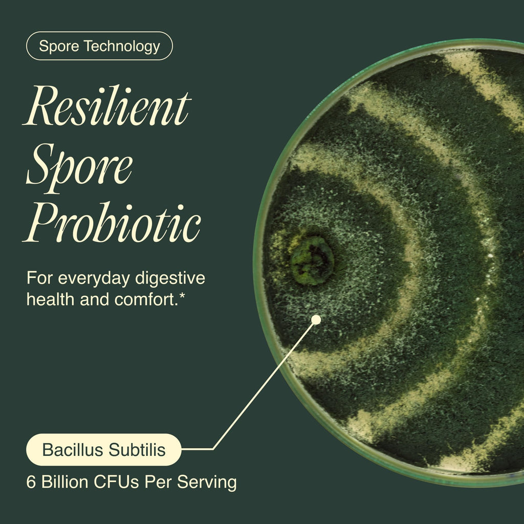Ecosh Bacillus Subtilis Spore Probiotic for Digestive Balance - 90 Capsules - image 4