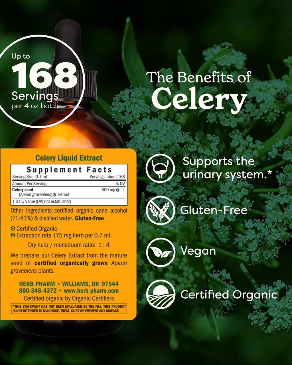 Herb Pharm Celery Seed Liquid Extract for Urinary System Support - 4 Fl Oz - image 2