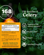 Herb Pharm Celery Seed Liquid Extract for Urinary System Support - 4 Fl Oz - image 2