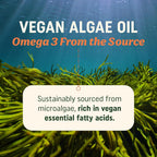 MAV NUTRITION Algae_Parent_555