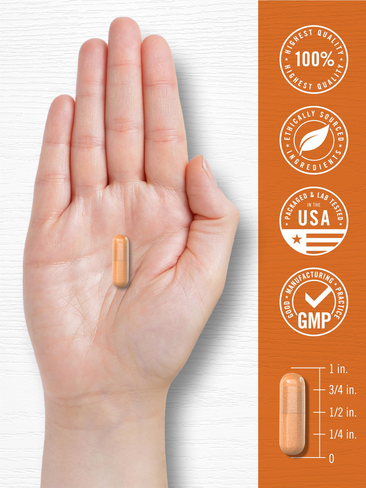 Carlyle Turmeric Curcumin Supplement with Black Pepper - 180 Capsules - image 7