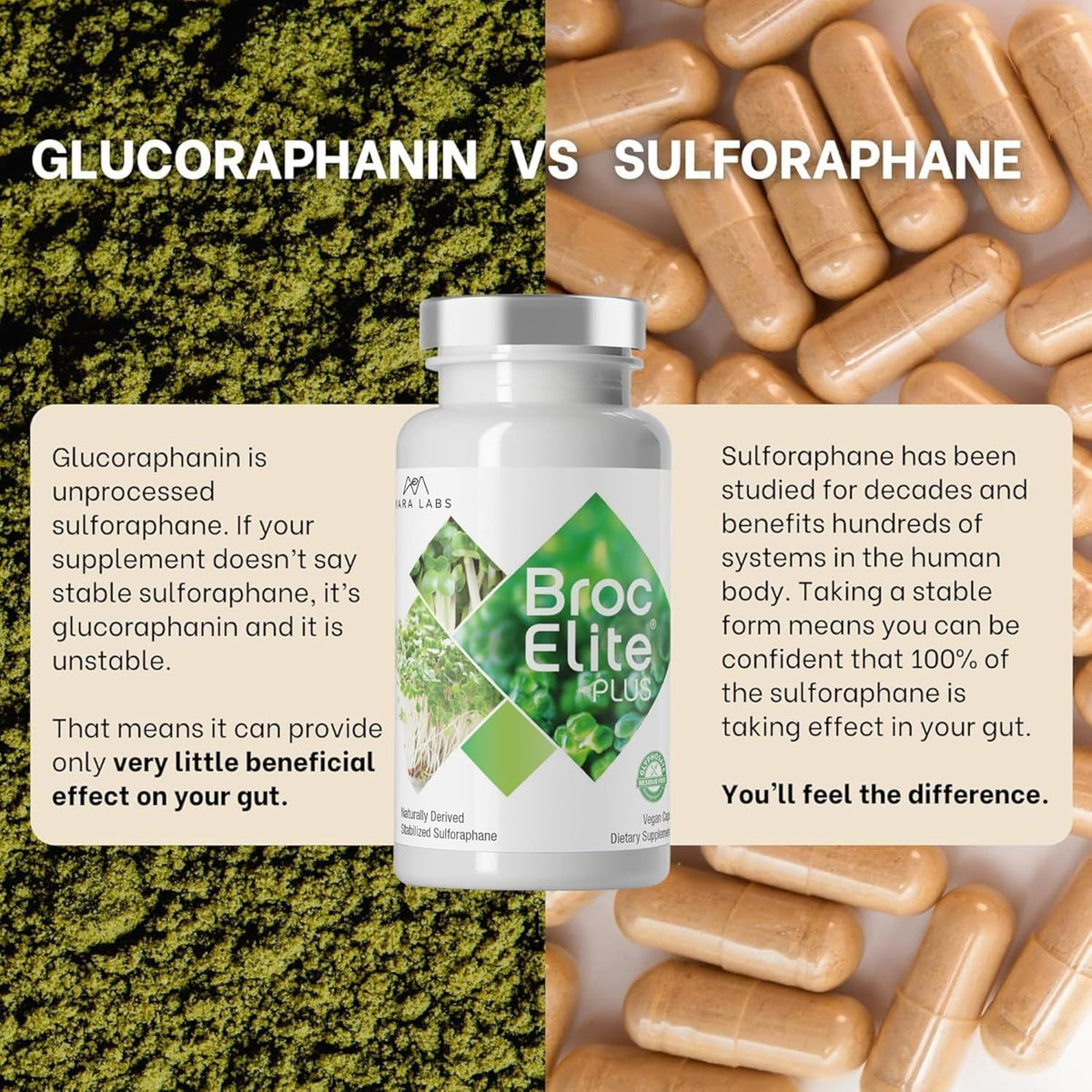 BrocElite Plus™ Broccoli Sulforaphane Extract Supplement for Immune
