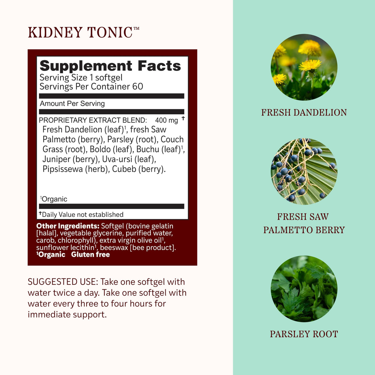Herbs Etc. Kidney Tonic Softgels, Organic & Gluten-Free - 60 Softgels - image 4