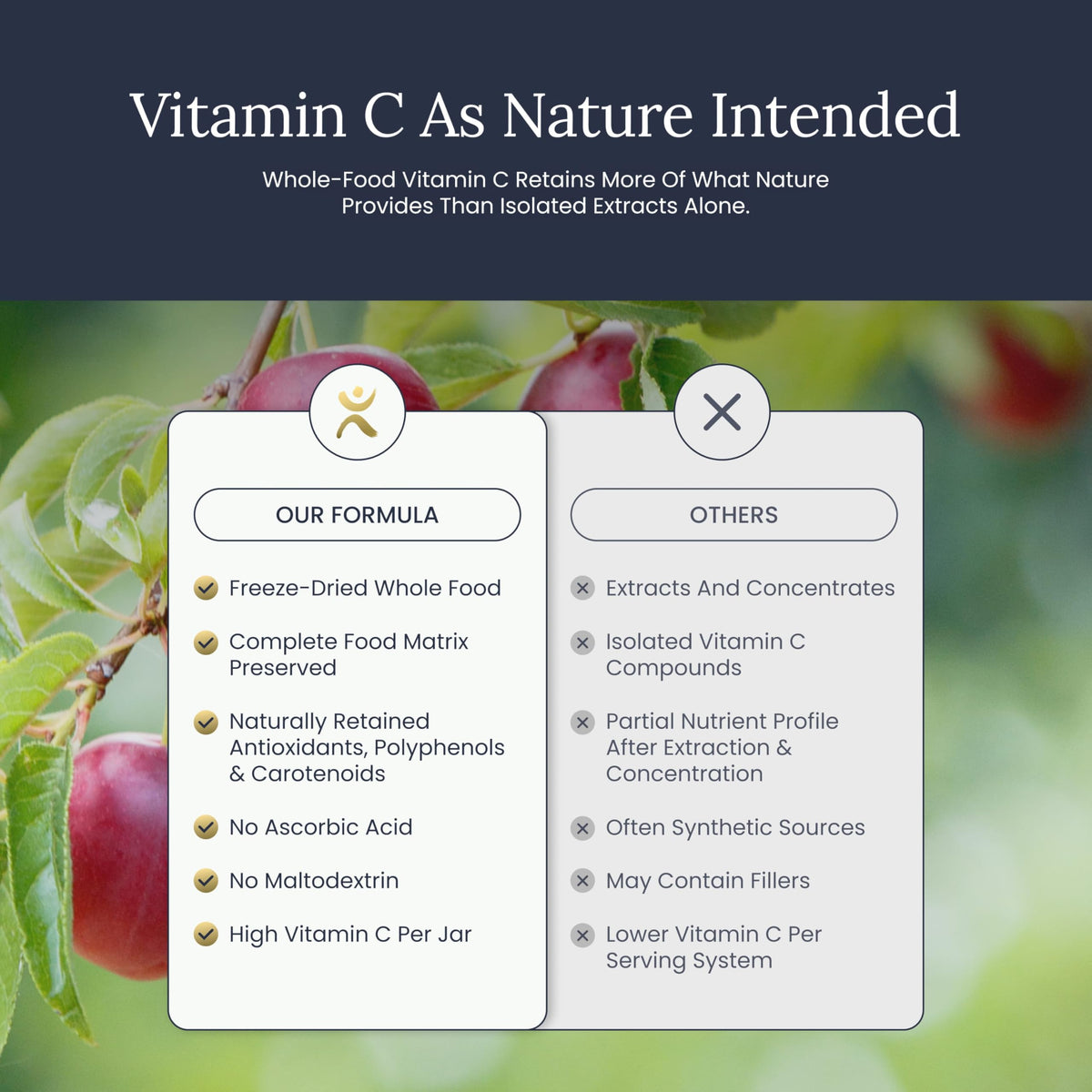 Infinity Greens True Vitamin C Powder - 30 Servings - image 9