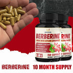 BMVINVOL Berberine HCl with Ceylon Cinnamon Supplement - 300 Capsules - image 7
