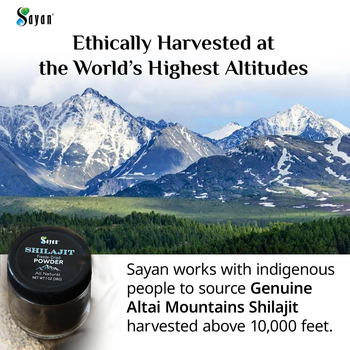 Sayan Shilajit Powder Natural Fulvic Acid - 1 oz - image 3