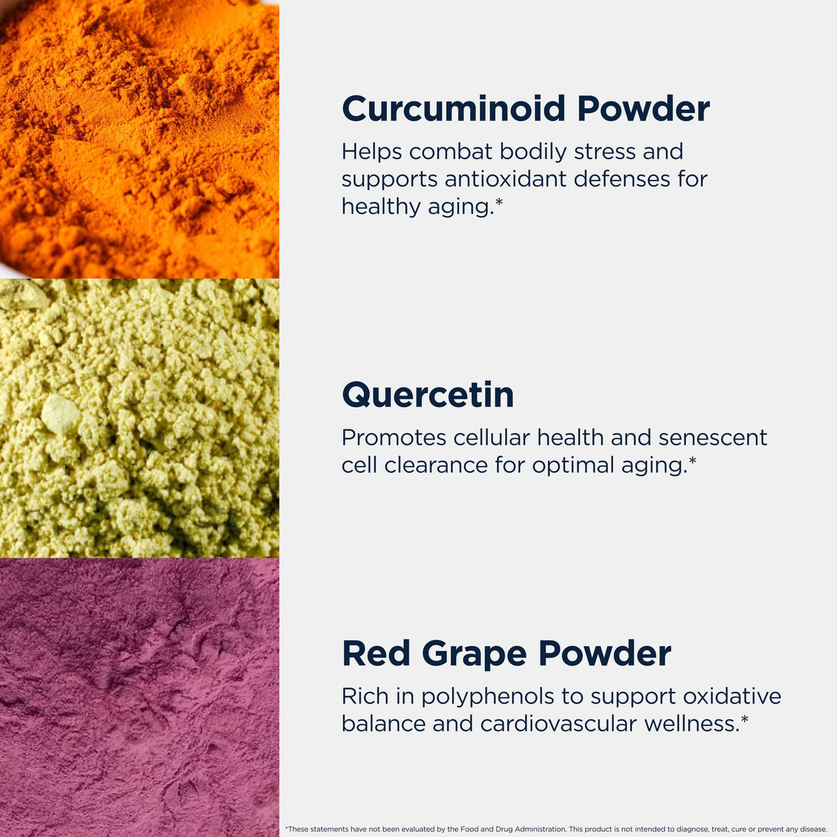 Designs for Health Senolytic Synergy Quercetin & Fisetin - 60 Capsules - image 4
