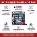 Clean Nutraceuticals Alpha Glow Shilajit Gummies - 60 Count - image 9