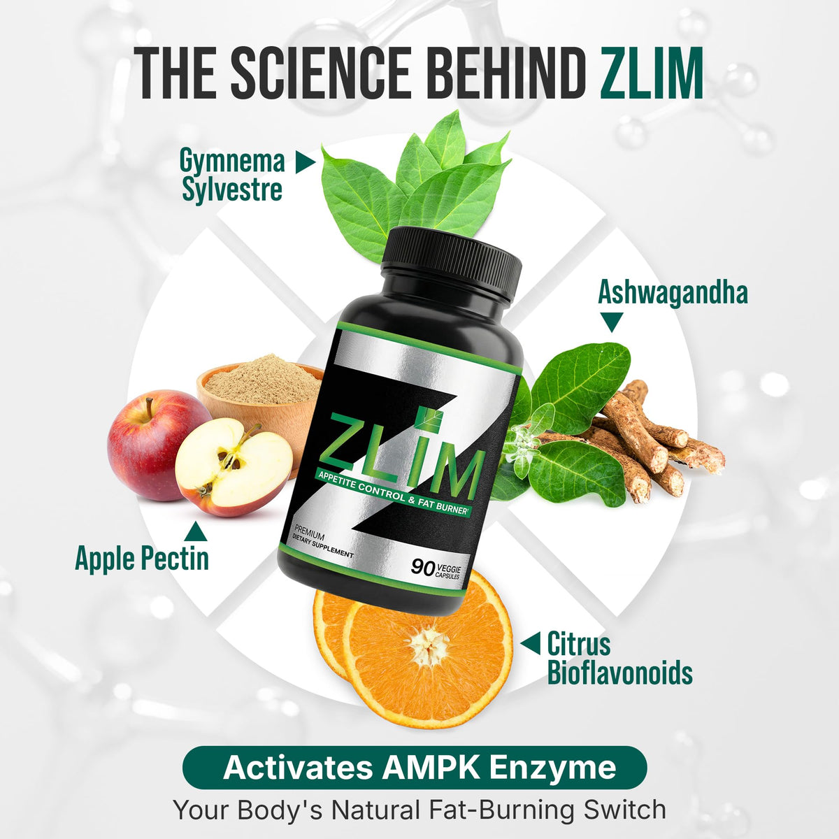 Dr. Zisman Natural Energy and Weight Control Supplement for Men