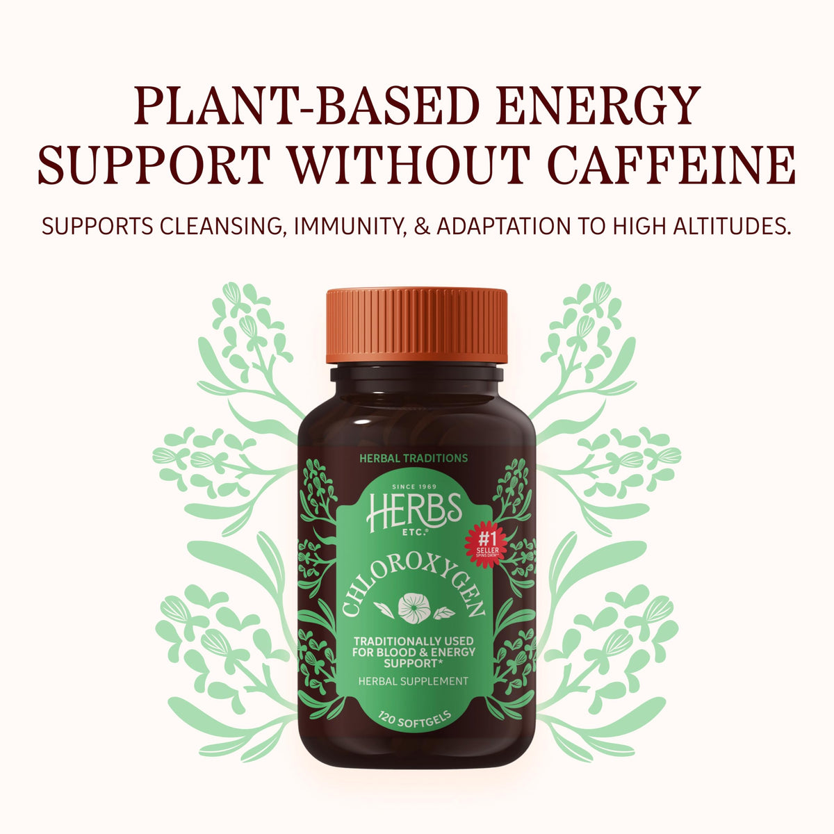 Herbs Etc. ChlorOxygen Chlorophyll Concentrate - 120 Softgels - image 3