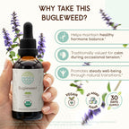 HerbEra Bugleweed Alcohol-Free Herbal Extract Tincture