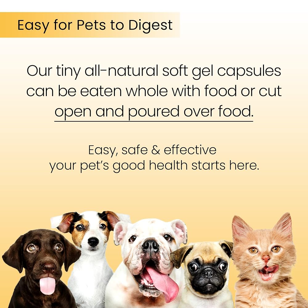 Moxxor Omega-3 Green Lipped Mussel Softgels for Dogs & Cats - 60 Count - image 5