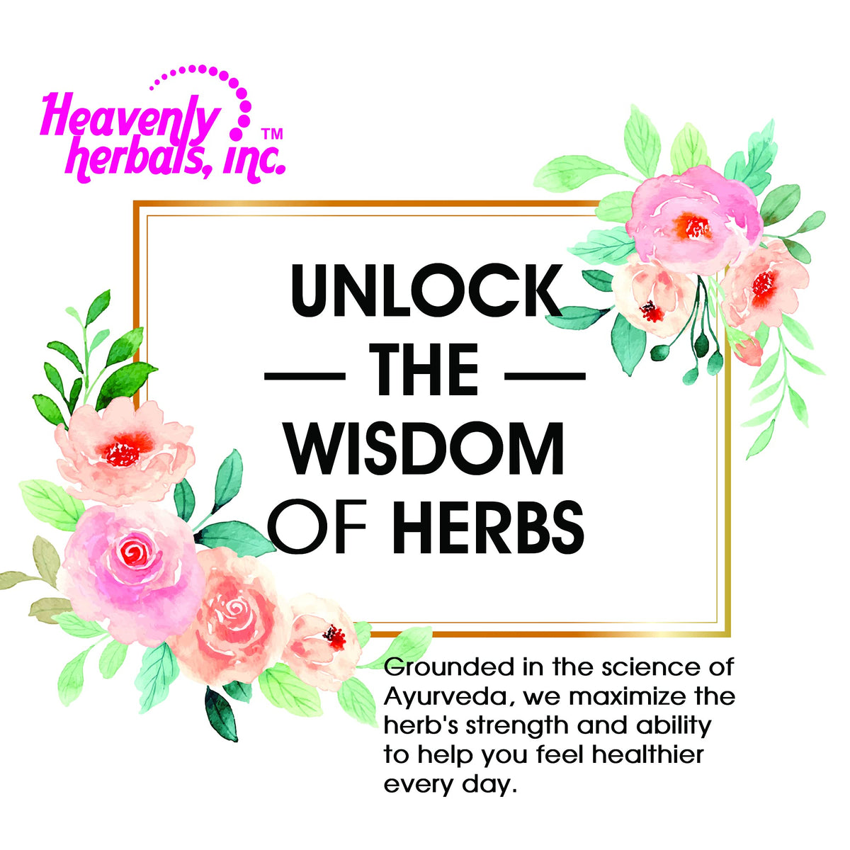 Heavenly Herbals Crataegus Complex Drops Cardiovascular Support - 2 Fl Oz - image 4