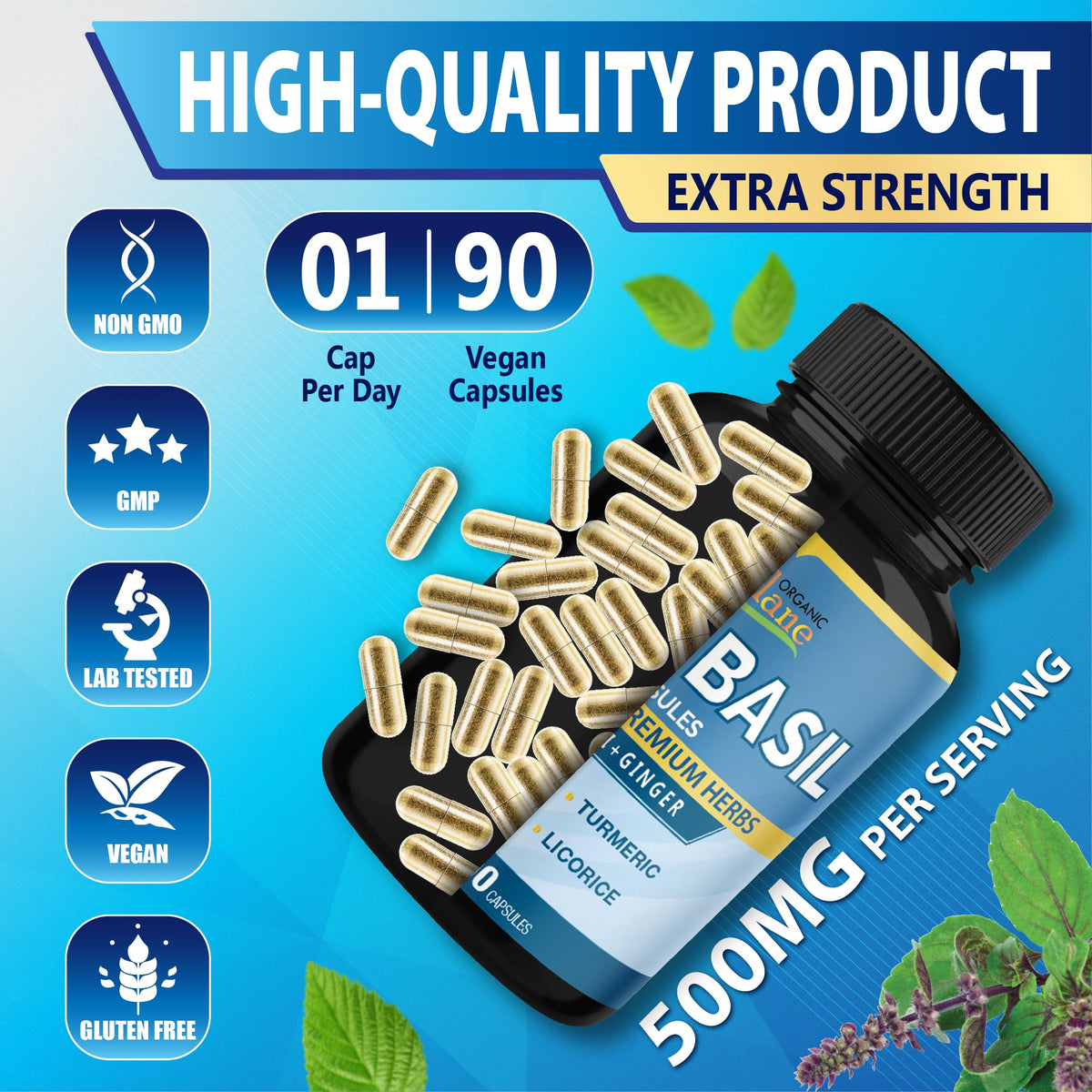 Organic Cadane Holy Basil Supplements with Turmeric & Ginger - 90 Capsules - image 8