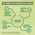 Sunwarrior Probiotics Soil-Based Vegan Capsules - 30 Count - image 4