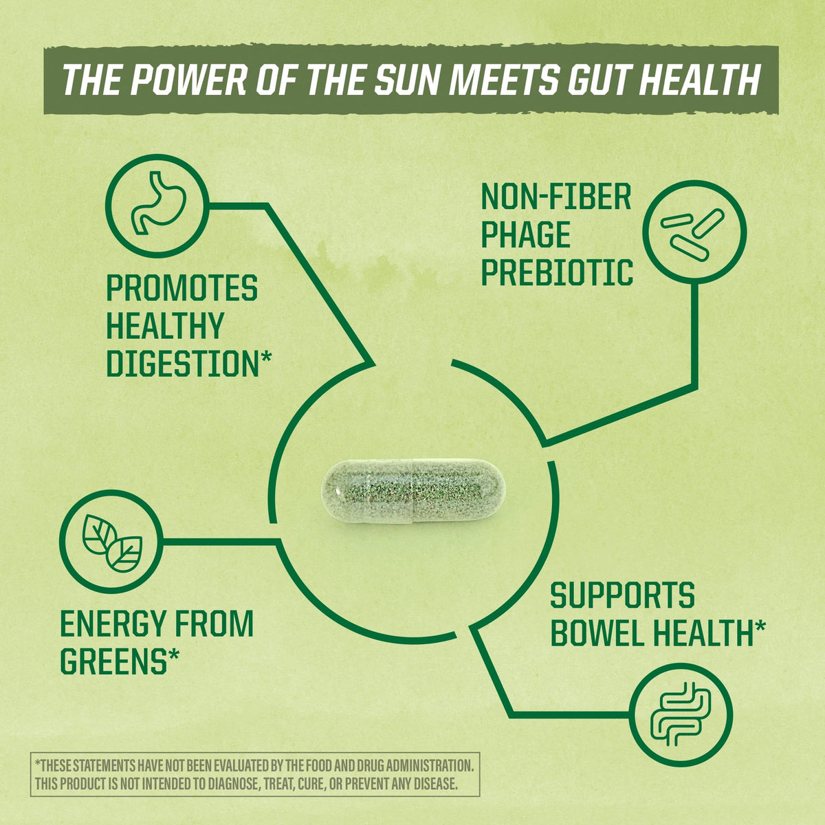 Sunwarrior Probiotics Soil-Based Vegan Capsules - 30 Count - image 4