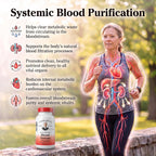 Christopher's Original Formulas Blood Stream Formula - 200 Capsules - image 3