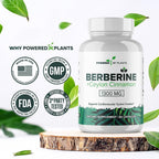 POWERED X PLANTS Pure Berberine Supplement - 1300mg Berberine