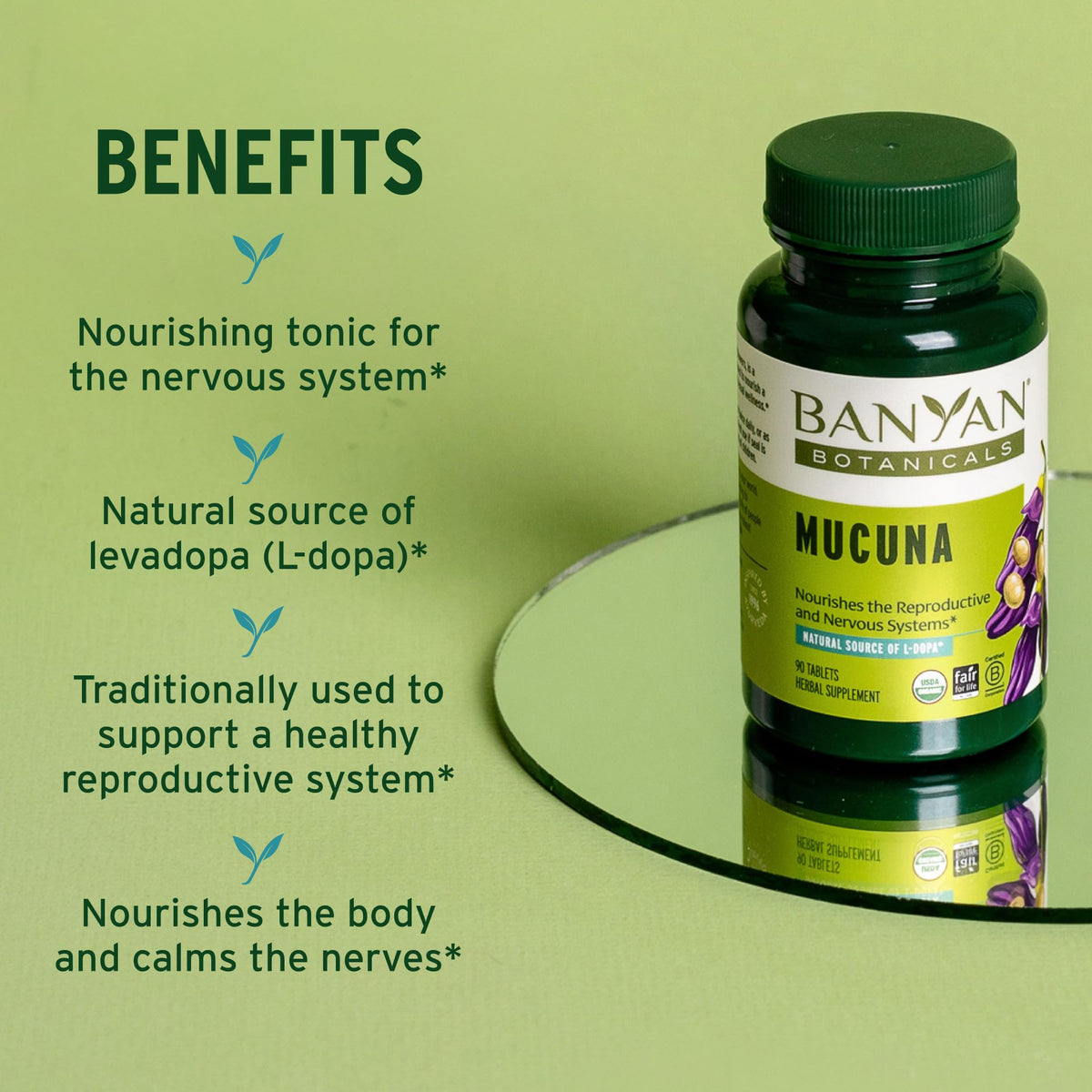 Banyan Botanicals Organic Mucuna Pruriens Tablets - 90 Tablets - image 2