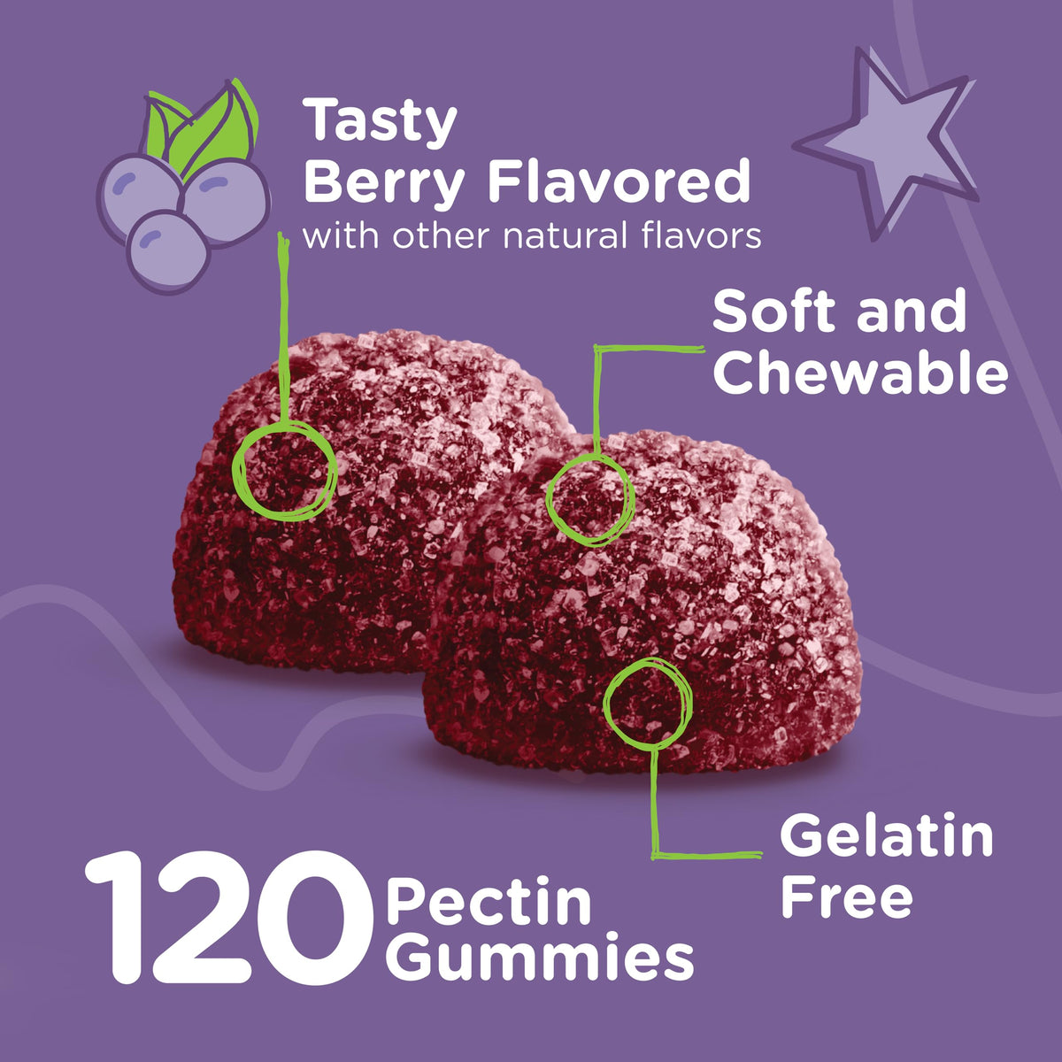 Viteey Sambucus Black Elderberry Gummies Formulated for Kids - Immune