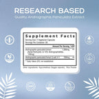 Palmara Health Andrographis Paniculata Supplement