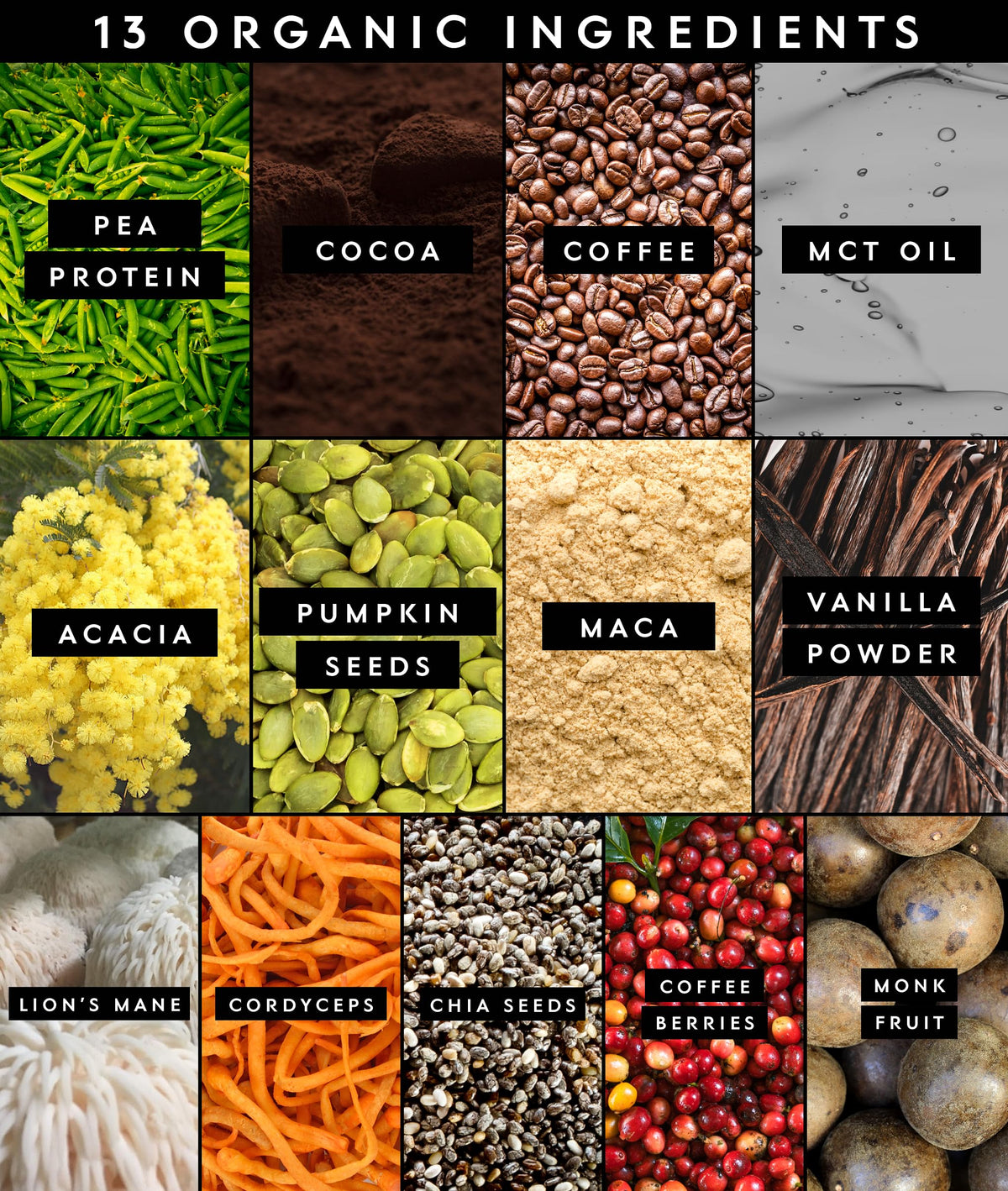 Truvani Protein + Energy Chocolate Mocha Plant-Based - 20 Servings - image 4
