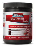 Sport Supplement L-Glutamine Powder - 300 Grams