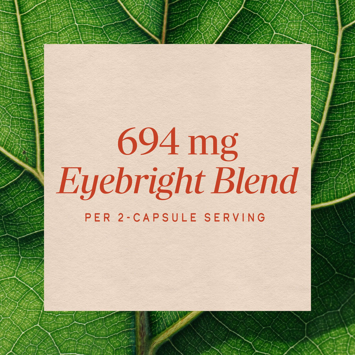 Nature's Way Eyebright Premium Blend Herbal Supplement - 100 Capsules - image 4