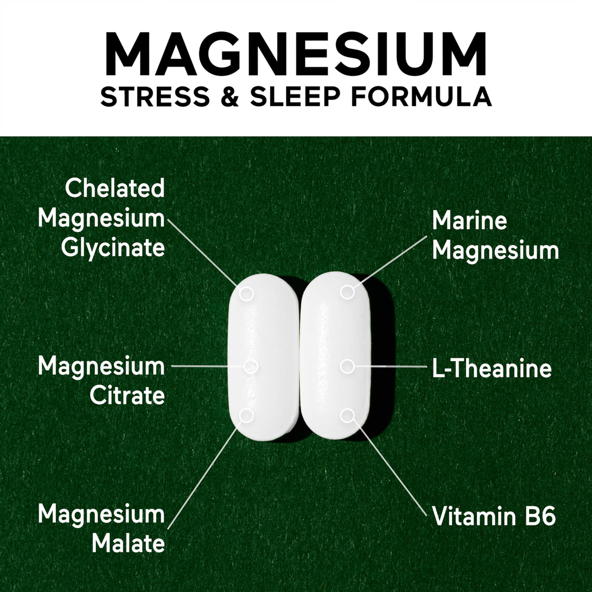 SMARTERNUTRITION Smarter Magnesium Multi-Active Magnesium 4 Forms