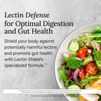 Gundry MD Lectin Shield Gut Health & Digestion Supplement - 120 Capsules - image 4