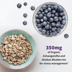Garden of Life Dr. Formulated Mood+ Probiotics